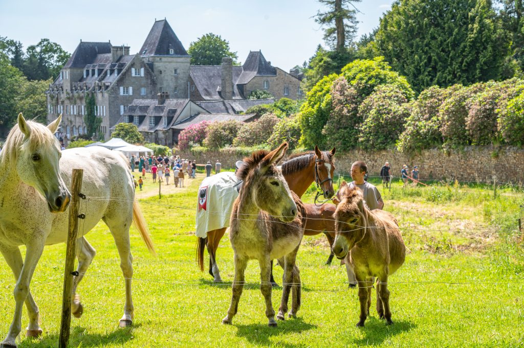 animaux au manoir du stang animaux au manoir du stang